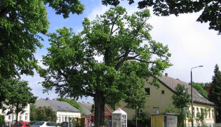 Der Kaiserplatz in Fahrland.