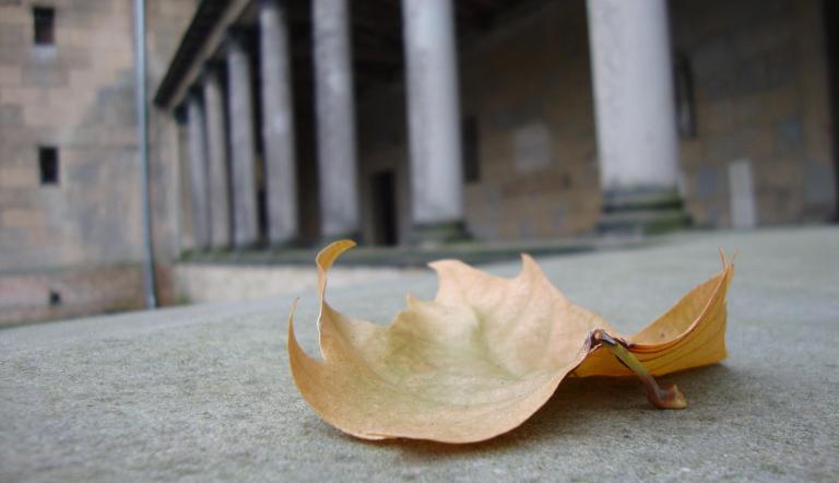 Sara Al-Rawi (12), Foto-AG der Voltaire Gesamtschule Potsdam, "Potsdam im Herbst": "An Potsdam bewegen mich die ganzen Farben und der wunderschöne Himmel am Morgen."