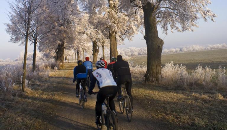 Neue Wege in der Feldflur