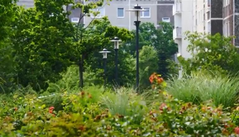 Grüne Staudenpflanzen, Bäume und moderne, schwarze Straßenlaternen vor Plattenbaugebäude