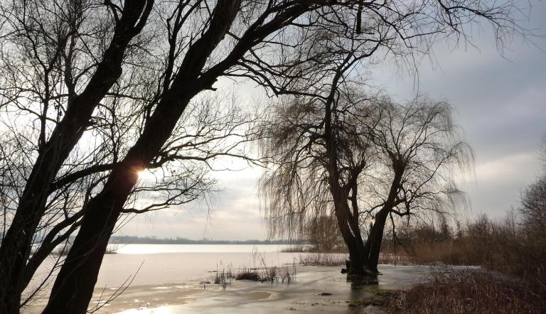 Golm am Zernsee