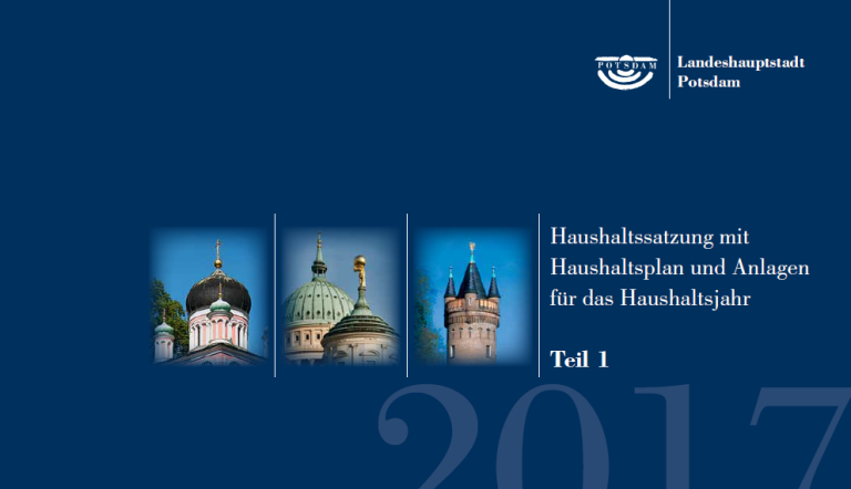 Haushaltsplan für das Haushaltsjahr 2017 Haushaltsplan für das Haushaltsjahr 2017