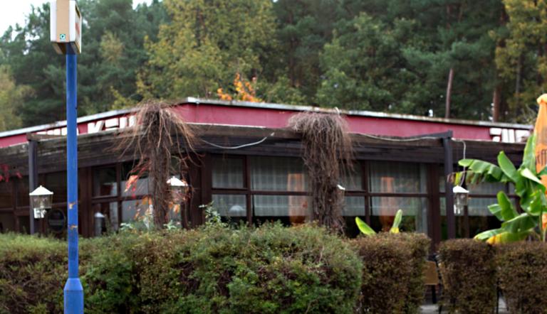 Keiler (© Dirk Alexander Schermer)