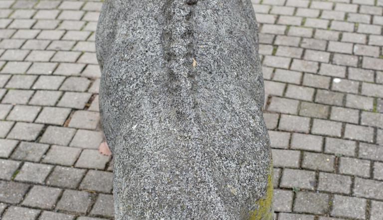 Keiler (© Dirk Alexander Schermer)