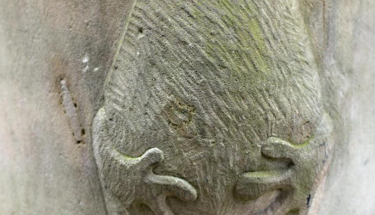 Drehspiel Frosch-Katze-Gans (© Dirk Alexander Schermer)