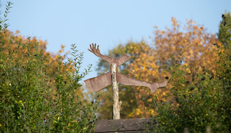 Schirme und Silhouetten (© Dirk Alexander Schermer)