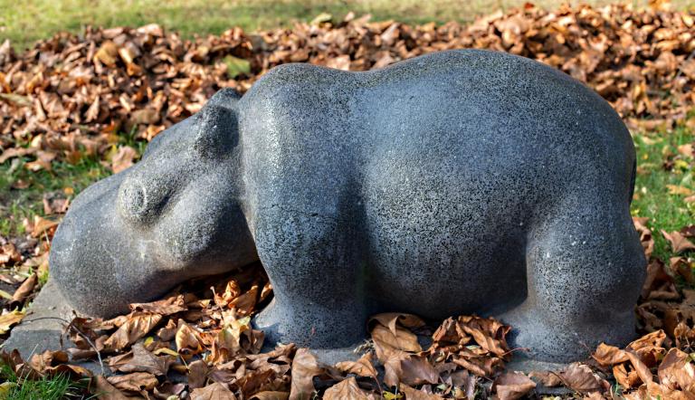 Nilpferd und Seelöwe (© Dirk Alexander Schermer)