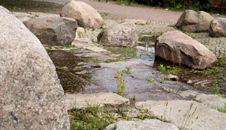 Spielbrunnen (Wassergarten) (© Dirk Alexander Schermer)
