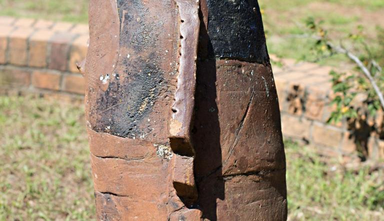 Fische, Vogelnest-Stele, Reptil-Rutsche (© Dirk Alexander Schermer)