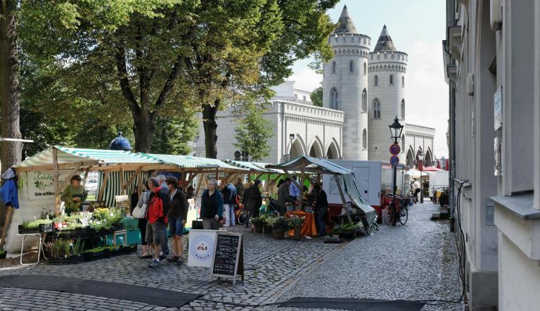 Wochenmarkt am Nauener Tor