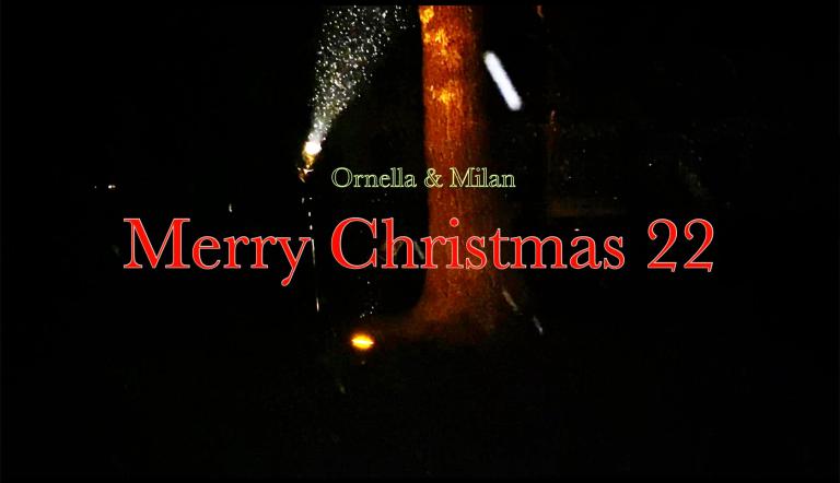 Merry Christmas 22 Im Hintergrund leuchtet ein Strahler durch Schnee auf einen Baum - ein Titel ist zu lesen: Milan & Ornella - Merry Christmas 22