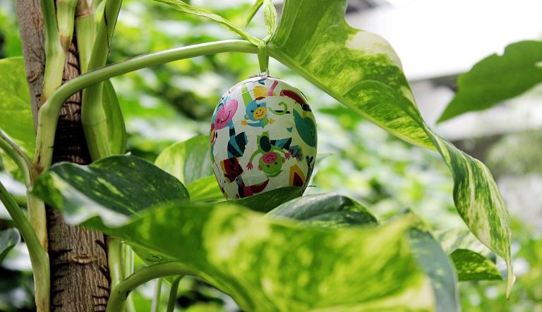 Osterferienprogramm in der Biosphäre Potsdam