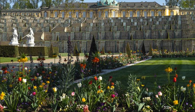 Das Foto zeigt den Park Sanssouci mit der Frühjahrsbepflanzung vor dem Schloss.