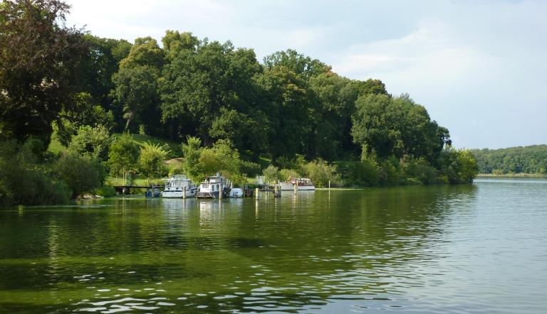Naturdenkmal Nr. 19 Stiel-Eichen am Jungfernsee (© Heiko Wahl)