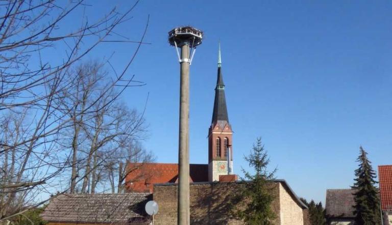 Neuer Storchenhorst in Bornim. Foto LHP/Untere Natrurschutzbehörde Neuer Storchenhorst in Bornim