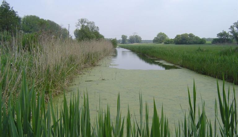 Natur in Uetz Natur in Uetz
