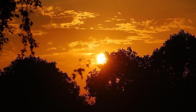 Yoan Tchorenev (11), Foto-AG der Voltaire Gesamtschule Potsdam, "Sonnenuntergang im Park Sanssouci": "Mich bewegt der Moment."