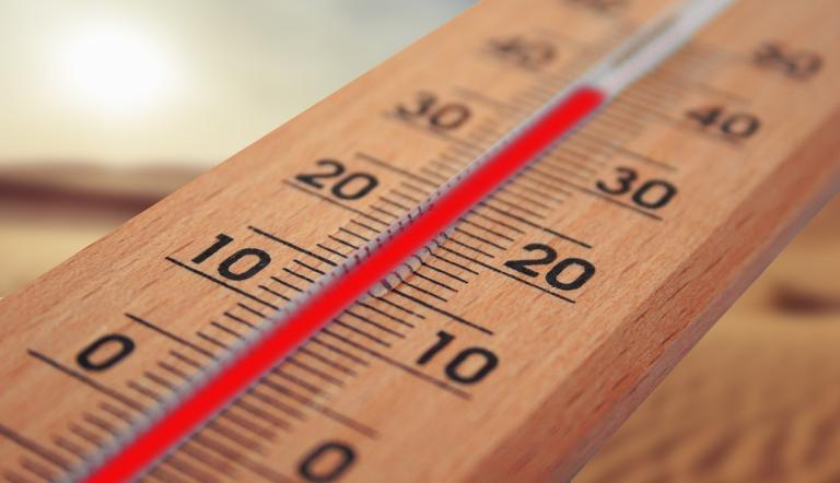 Das Bild zeigt ein Thermomenter, das fast 40 Grad Celsius anzeigt.