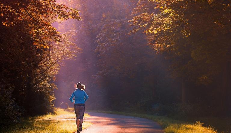 Joggen im Herbst, Joggen im Herbst,