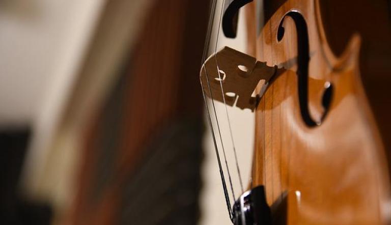 Violine. Violine.