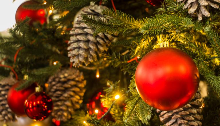 Weihnachtsbaum im Rathaus Weihnachtsbaum im Rathaus
