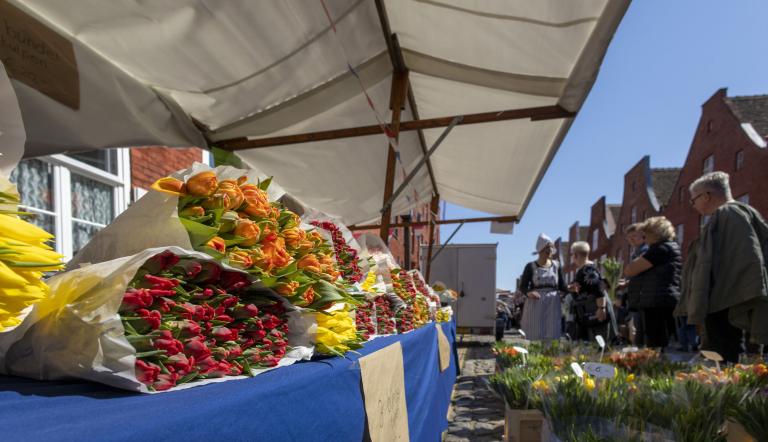 Tulpenfest im Holländischen Viertel Potsdam, Foto: André Stiebitz, Lizenz: Potsdam Marketing und Service GmbH