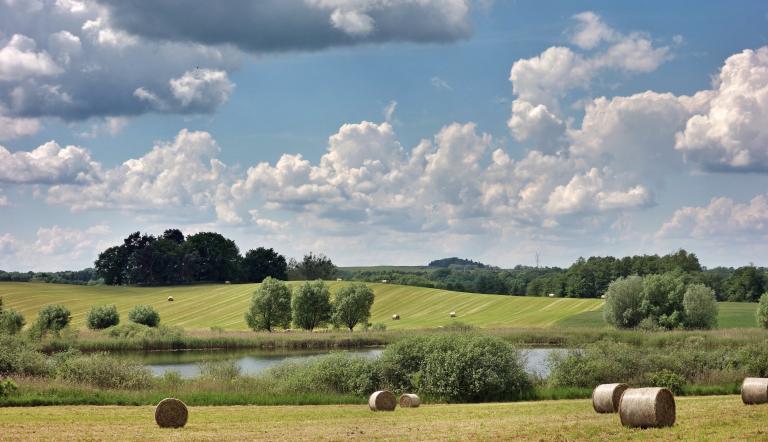 Foto: Klaus Pape, Lizenz: LfU_Brandenburg