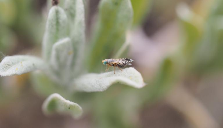 Foto: A. Kracht, Lizenz: A. Kracht