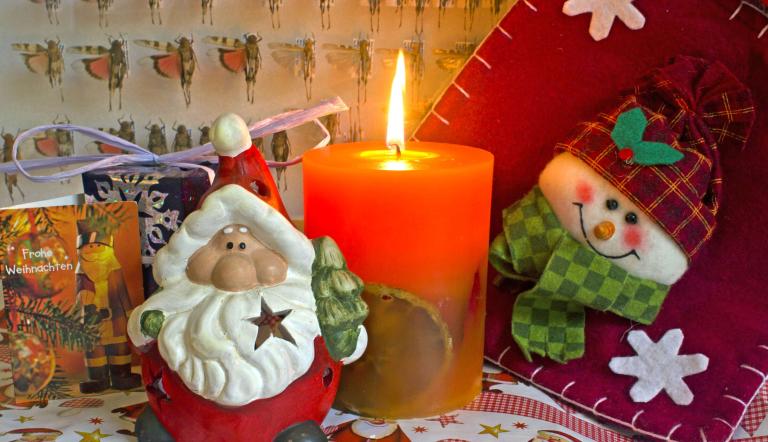 In Entomologenhausen weihnachtet es sehr, Foto:  Dr. Dirk Berger, Lizenz:  Dr. Dirk Berger