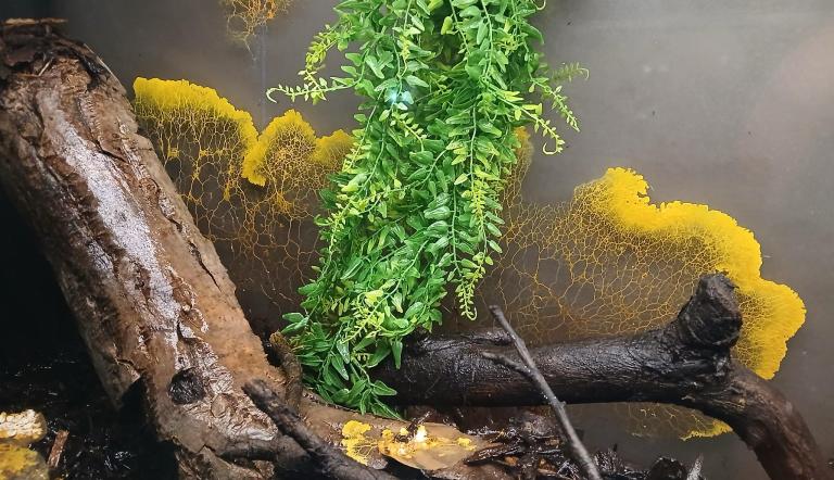 Foto: NANO, Lizenz: NANO