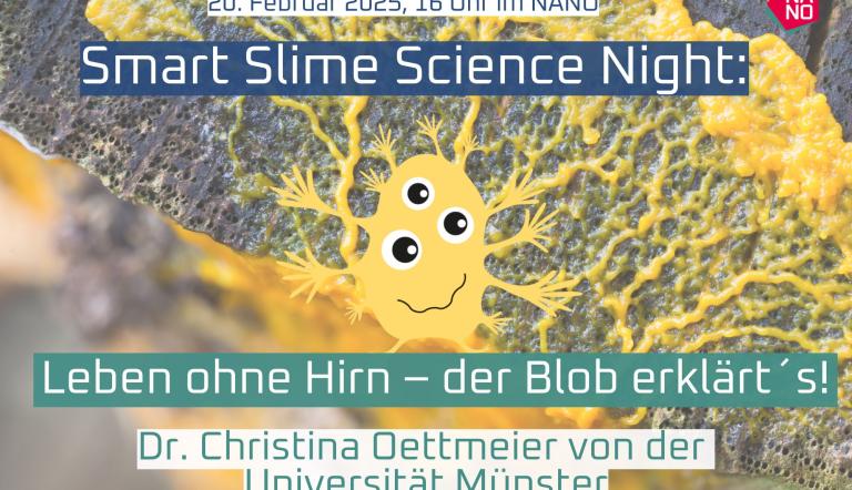 Foto: NANO, Lizenz: NANO