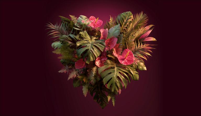 Foto: Biosphäre Potsdam, Lizenz: Biosphäre Potsdam