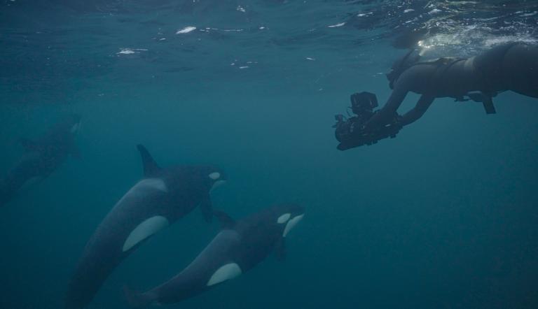 Foto: © Kjetil Astrup