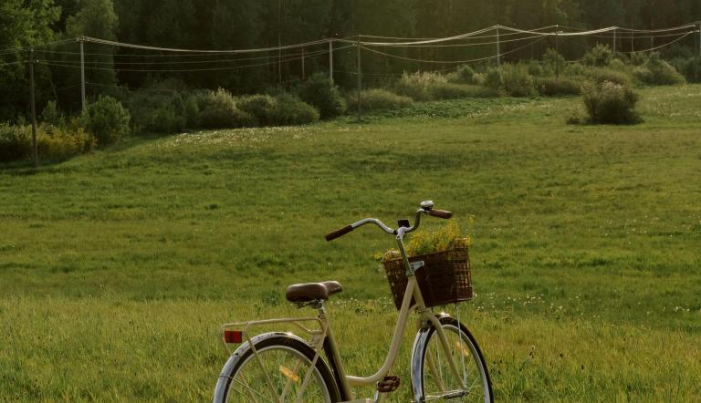 Foto: Ron Lach, Lizenz: Ron Lach / pexels