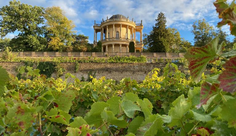 Foto: Andreas Kramp, Lizenz: Mosaik-Berlin gGmbH