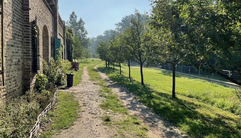 Foto: Andreas Kramp, Lizenz: Mosaik-Berlin gGmbH