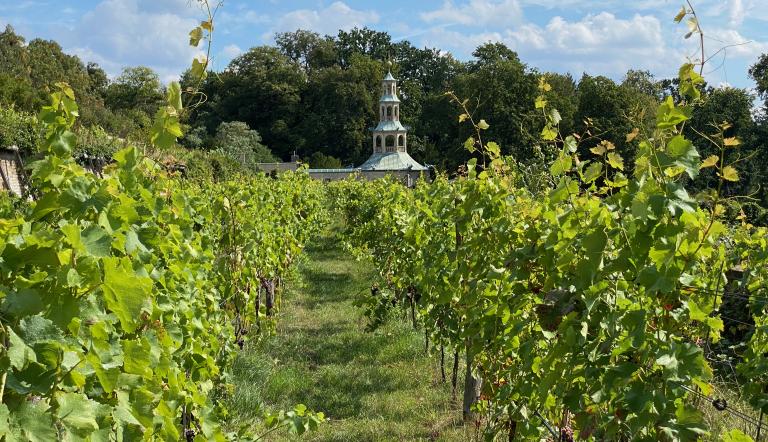 Foto: Andreas Kramp, Lizenz: Mosaik-Berlin gGmbH