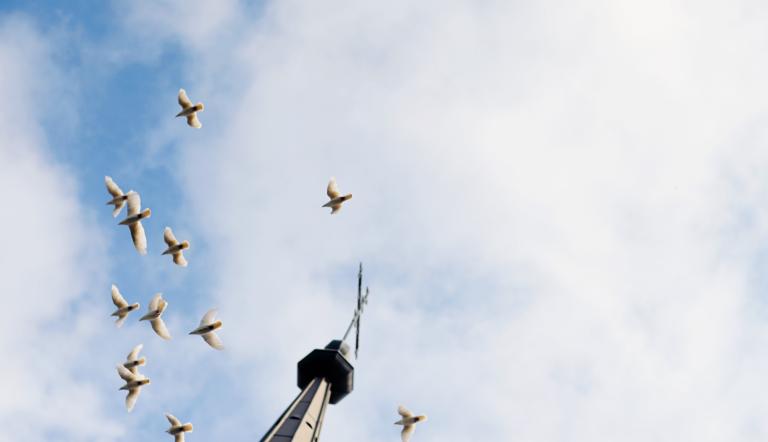 Foto: Förderverein Alte Neuendorfer Kirche 
