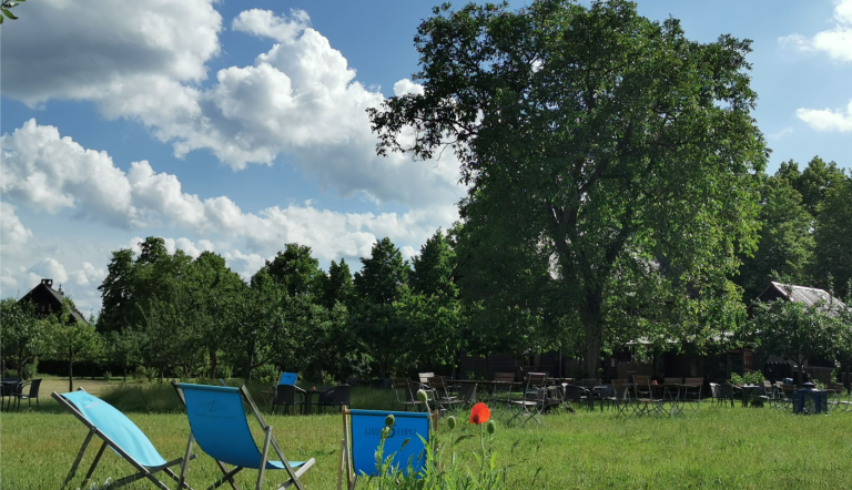 Foto: Nadine Felgenhauer, Lizenz: Nadine Felgenhauer