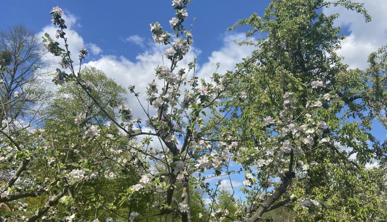 Foto: Museum Alexandrowka, Lizenz: Museum Alexandrowka