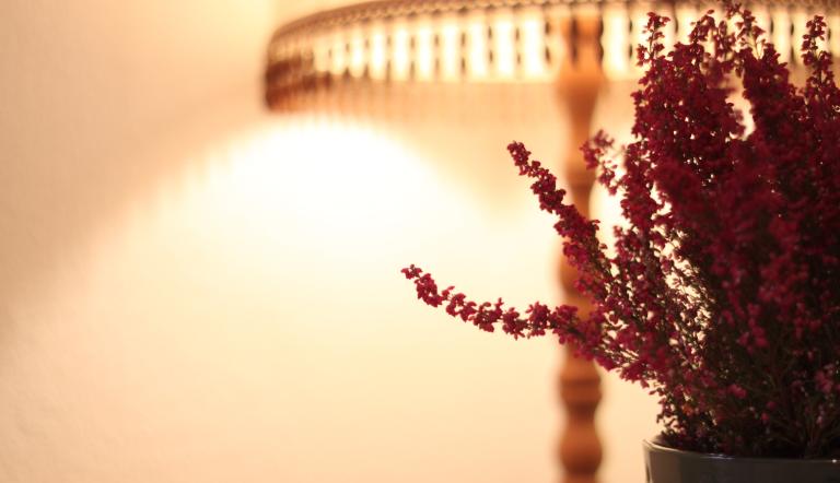 Foto: objektiv.betrachtet, Lizenz: objektiv.betrachtet