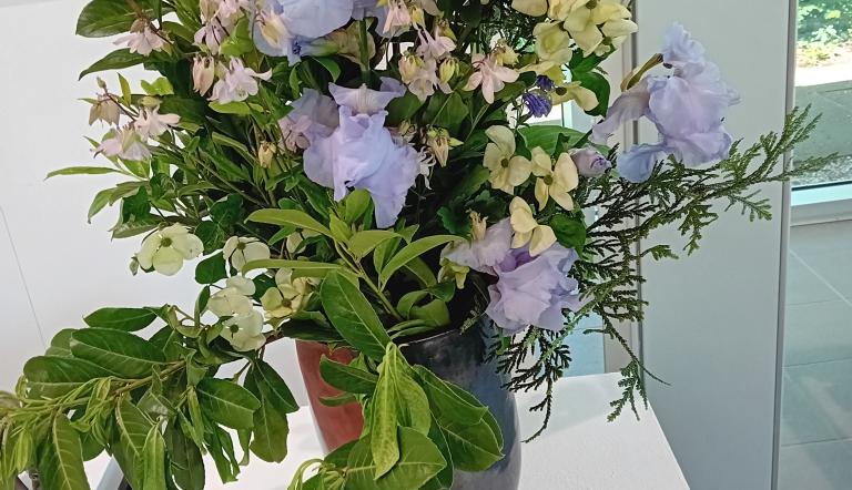 Foto: URANIA Potsdam, Lizenz: URANIA Potsdam