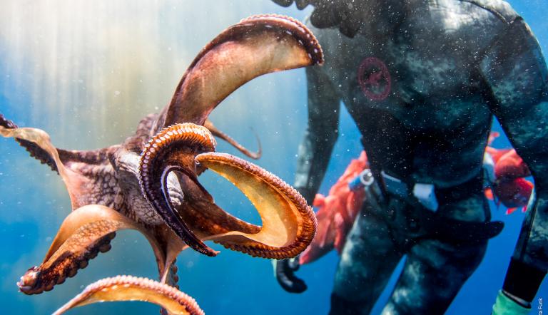 Foto: Christa Funk, Lizenz: Christa Funk