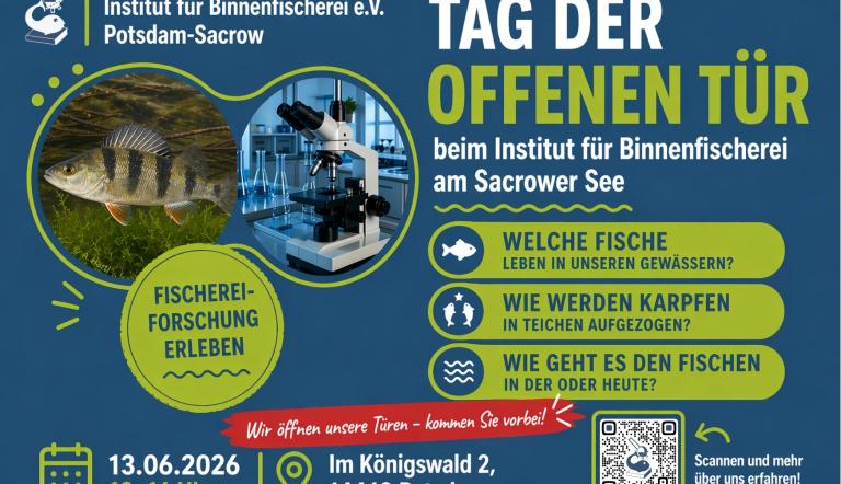 Foto: Institut für Binnenfischerei e. V. Potsdam-Sacrow, Lizenz: Institut für Binnenfischerei e. V. Potsdam-Sacrow