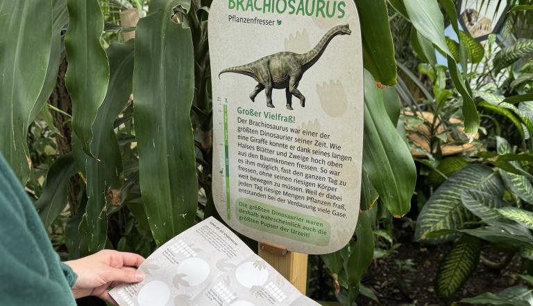 Dino-Abenteuer - Auf Spurensuche, Foto: Biosphäre Potsdam, Lizenz: Biosphäre Potsdam