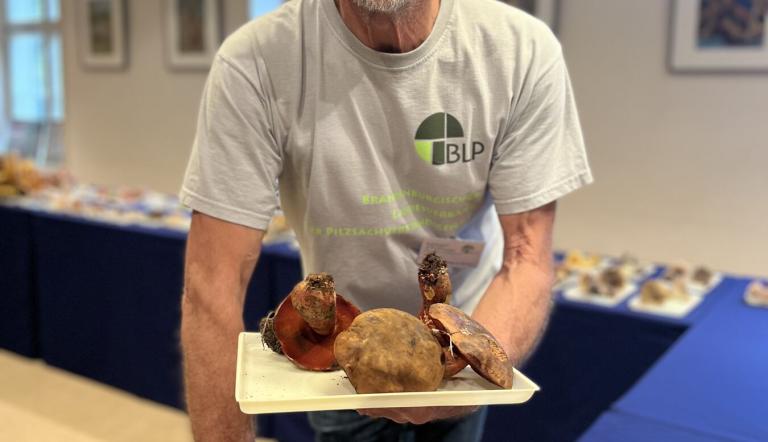 Pilz-Sachverständige Wolfgang Bivour , Foto: A. Vierling, Lizenz: NKMP