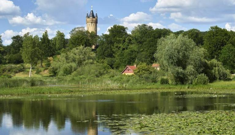 Park Babelsberg, Kindermannsee, im Sommer, im Hintergrund der Flatowturm, Foto: Wolfgang Pfauder, Lizenz: SPSG