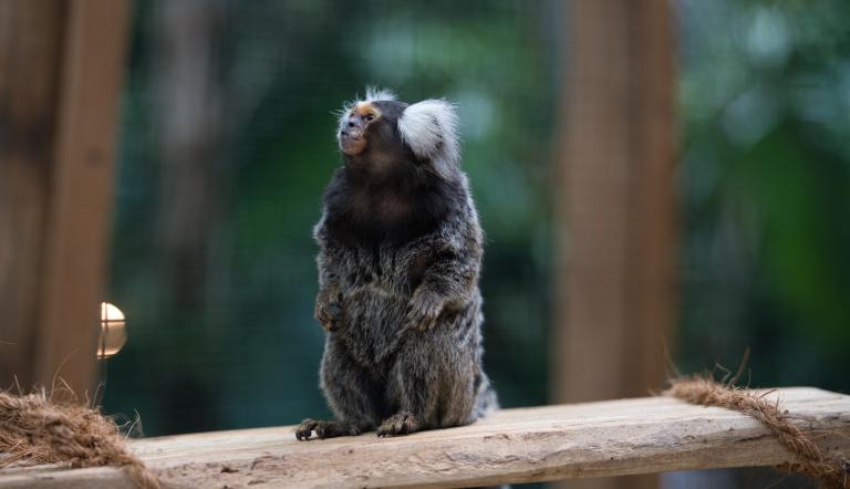 Foto: Marc Lehnhardt, Lizenz: Biosphäre Potsdam, Marc Lehnhardt
