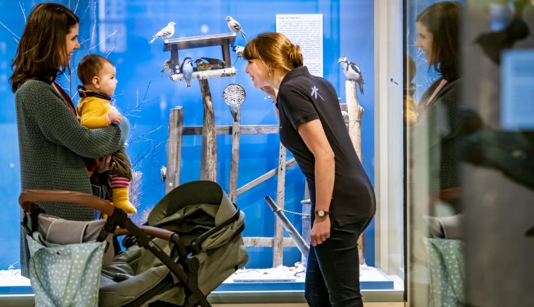 Auch Babys können viel Spannendes im Museum entdecken, Foto: David Marschalsky, Lizenz: Naturkundemuseum Potsdam