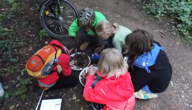 Juniorforscher unterwegs , Foto: Annette Haugk, Lizenz: Naturkundemuseum Potsdam